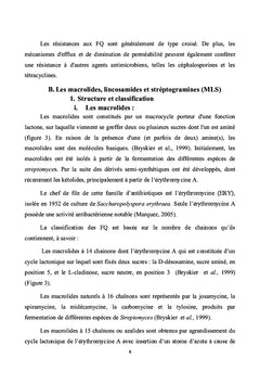 Pompes a efflux comme mecanisme de resistance aux antibiotiques