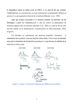 Pompes a efflux comme mecanisme de resistance aux antibiotiques