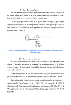 Pompes a efflux comme mecanisme de resistance aux antibiotiques