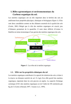 Cartographie de la fertilite des sols Tunisiens: carbone organique