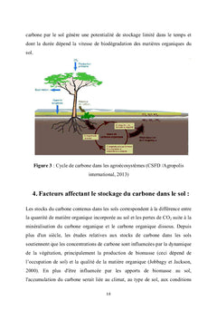 Cartographie de la fertilite des sols Tunisiens: carbone organique