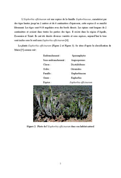 Valorisation des euphorbes marocaines: Phytochimie Appliquee