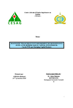 Diagnostic financier d'un établissement de microfinance