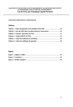 Diagnostic financier d'un établissement de microfinance