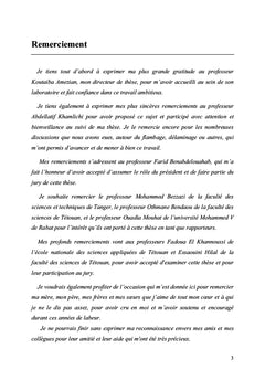 Résistance au flambage des panneaux raidis