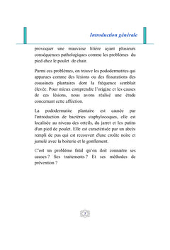 Les pododermatites chez le poulet de chair