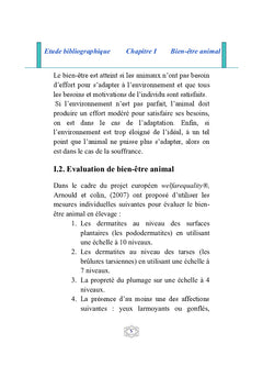 Les pododermatites chez le poulet de chair