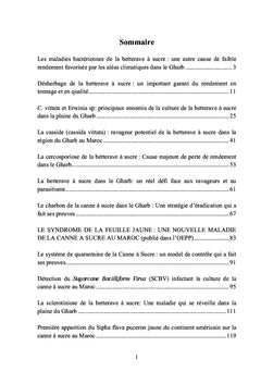 Ennemis des cultures sucrières au Maroc canne et Betterave