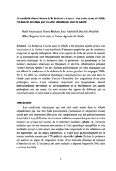 Ennemis des cultures sucrières au Maroc canne et Betterave