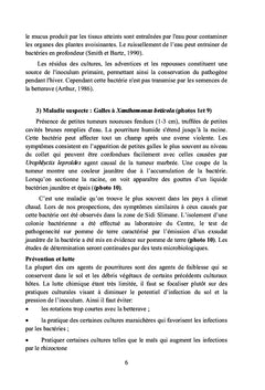 Ennemis des cultures sucrières au Maroc canne et Betterave