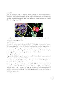 Esquisse d'une stratégie de valorisation du cactus inerme en Tunisie