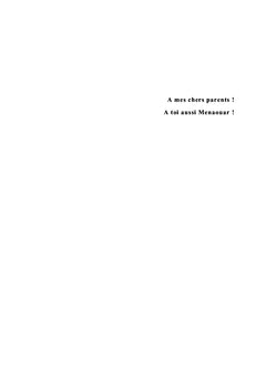 Octave Mirbeau: Une écriture novatrice