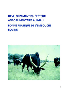 Bonne pratique de l'embouche bovine au Mali
