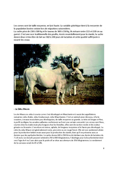 Bonne pratique de l'embouche bovine au Mali