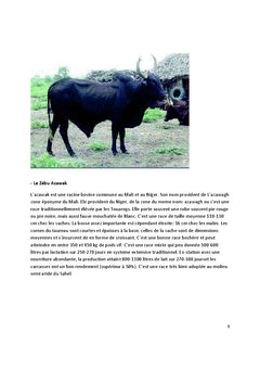 Bonne pratique de l'embouche bovine au Mali