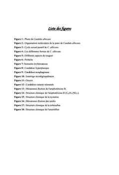 Impact de Candidas albicans sur la santé humaine