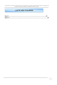 Construction sociale des mecanismes de resolution