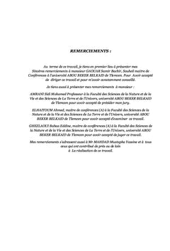 Caractérisation génétique des accessions de pois chiche (Tlemcen)