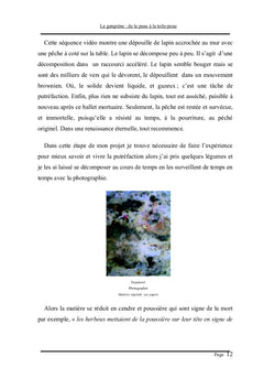 La gangrène :De la peau à la toile -peau