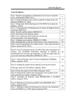 Parasitologie du canard colvert Anas platyrhynchos