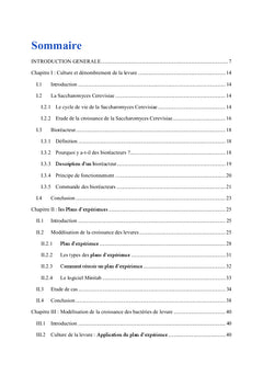 Modélisation et régulation de cultures de levure en bioréacteur