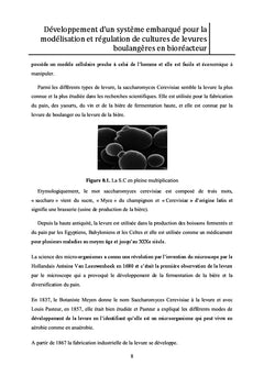 Modélisation et régulation de cultures de levure en bioréacteur