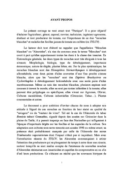Les bases d'un programme de lutte contre Bemisia Tabaci sur Tomate