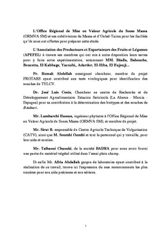 Les bases d'un programme de lutte contre Bemisia Tabaci sur Tomate