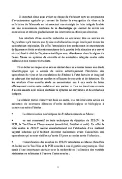 Les bases d'un programme de lutte contre Bemisia Tabaci sur Tomate