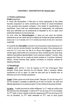 Les bases d'un programme de lutte contre Bemisia Tabaci sur Tomate