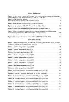 Etude sédimentologique, pétrographique et diagénitique des quartzites