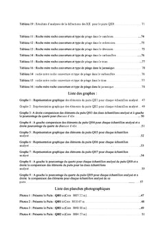 Etude sédimentologique, pétrographique et diagénitique des quartzites