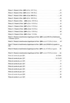 Etude sédimentologique, pétrographique et diagénitique des quartzites