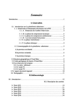 Etude sédimentologique, pétrographique et diagénitique des quartzites