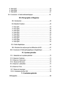 Etude sédimentologique, pétrographique et diagénitique des quartzites