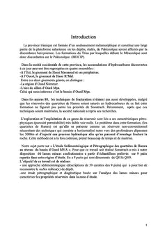 Etude sédimentologique, pétrographique et diagénitique des quartzites