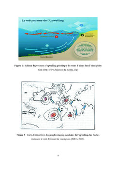 L'estimation de l'âge et les paramètres de croissance de la sardine
