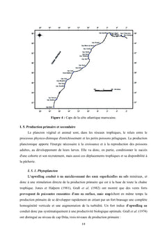 L'estimation de l'âge et les paramètres de croissance de la sardine