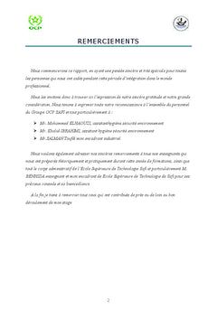 Analyse SWOT et evaluation des impacts environnementaux