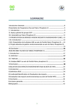 Analyse SWOT et evaluation des impacts environnementaux
