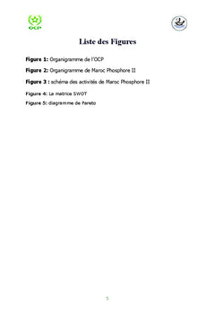Analyse SWOT et evaluation des impacts environnementaux