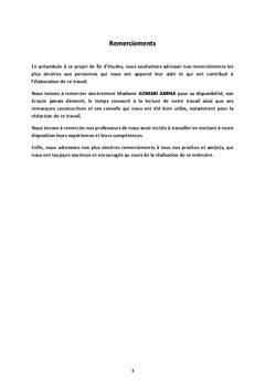 Strategie Marketing des enterprises de la telephonie mobile