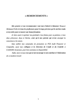 Guide d'Audit Financier dans les Assurances de personnes