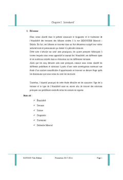 Etude de l'étanchéité des terrasses des immeubles