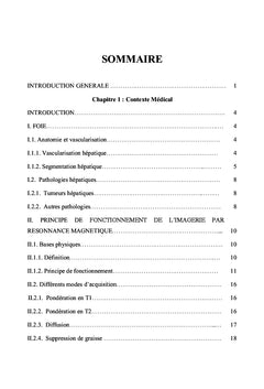 Segmentation des artères et des veines hépatiques