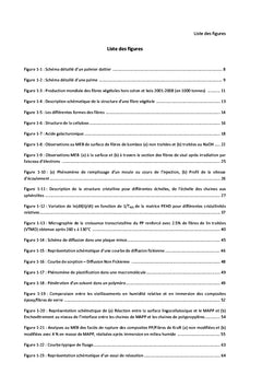 Comportements A long terme des composites A fibres de palmier dattier
