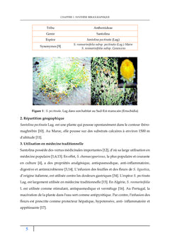 Nouveaux inhibiteurs verts de corrosion du Sud-Est marocain