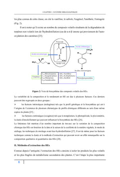 Nouveaux inhibiteurs verts de corrosion du Sud-Est marocain