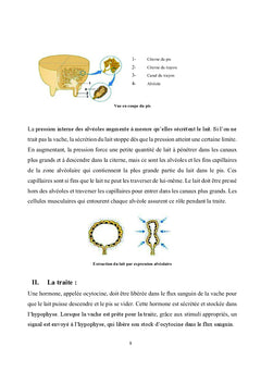 Technologie du lait et des produits laitiers