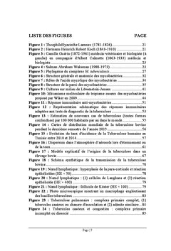 Considérations sur la tuberculose humaine et bovine